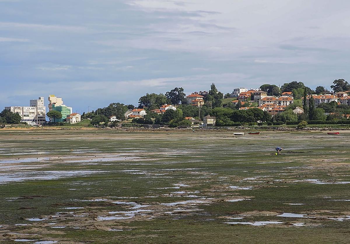 La bajamar desnuda la bahía de Santander