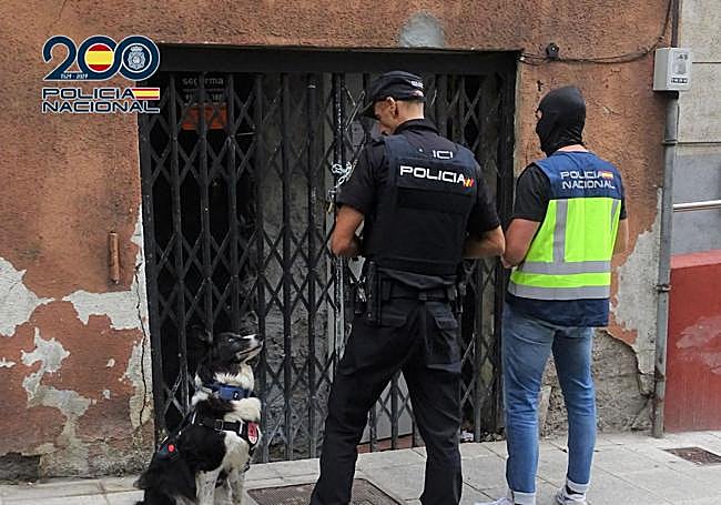 Dos agentes de la Policía Nacional, junto a un perro policía, frente al local de la asociación cannábica.