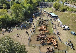Un momento de la feria celebrada este sábado en Luena con 600 cabezas de ganado.