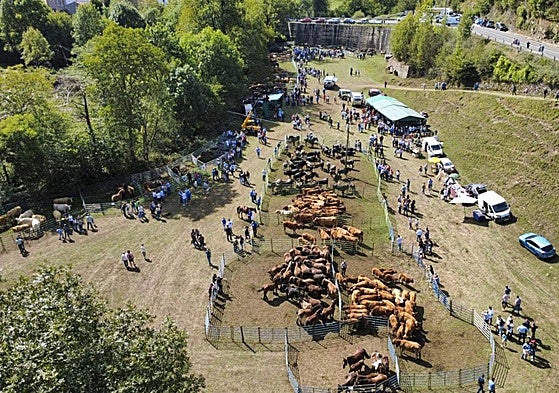 Un momento de la feria celebrada este sábado en Luena con 600 cabezas de ganado.