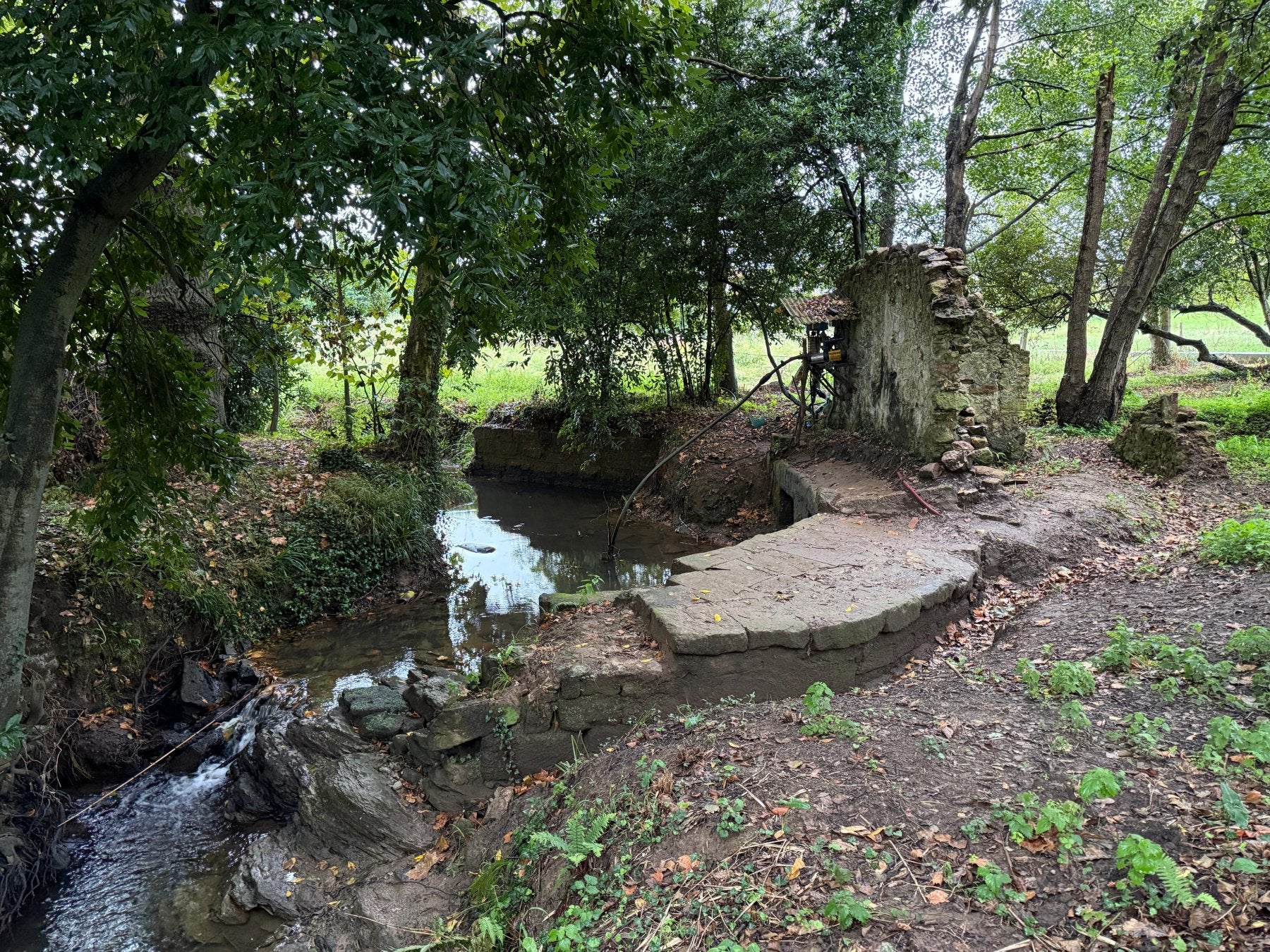 El Molino de Romano continuaba en funcionamiento en los años 50 del pasado siglo, pero en la actualidad solo permanecen la presa y tres paredes.