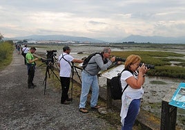 Visitantes con prismáticos y telescopios observando las aves de las marismas.