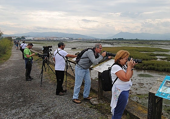 Visitantes con prismáticos y telescopios observando las aves de las marismas.