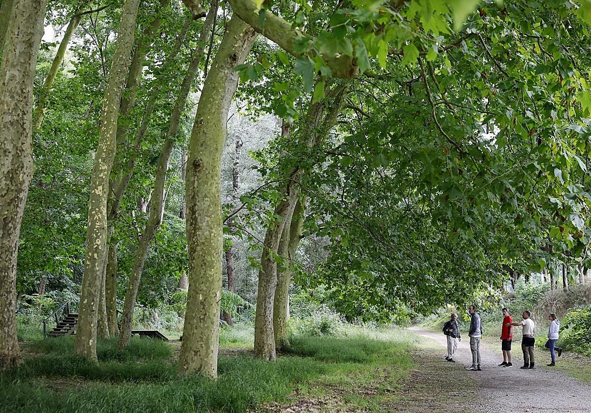 El Parque del Patatal ha acogido varias actividades del proyecto 'Torrelavega conexión natural'.