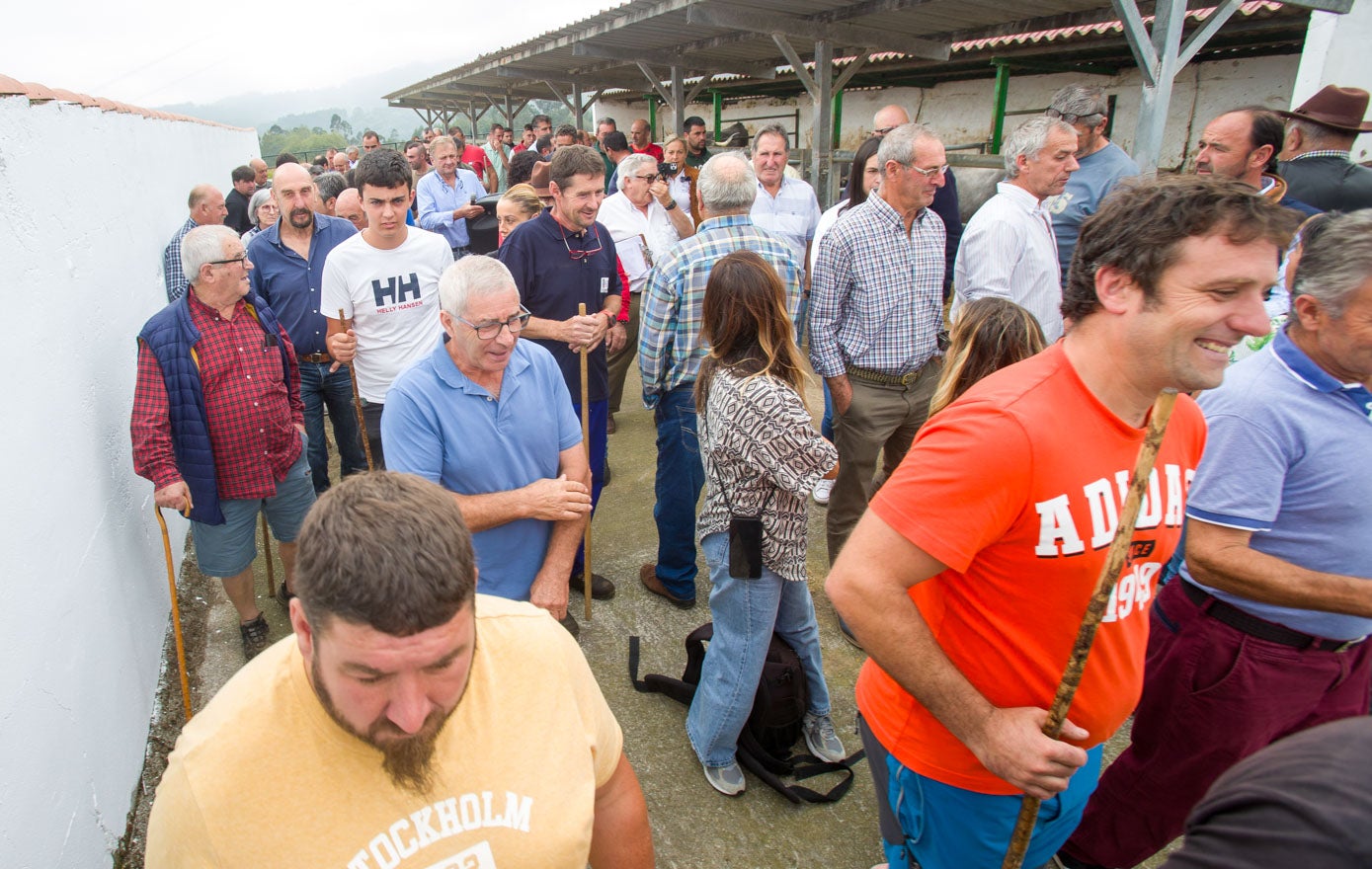 Cerca de un centenar de profesionales del sector se dieron cita en la finca de Cóbreces.