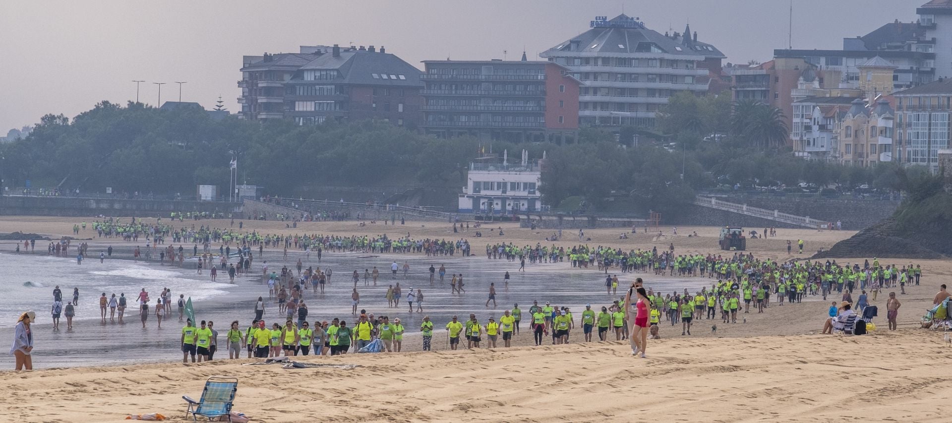 Una serpiente verde que se podía ver a kilómetros.