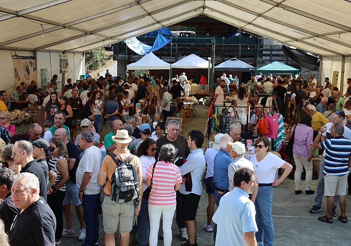 Numeroso públigo se acercó hoy a la Feria de la Miel en Vega de Liébana.