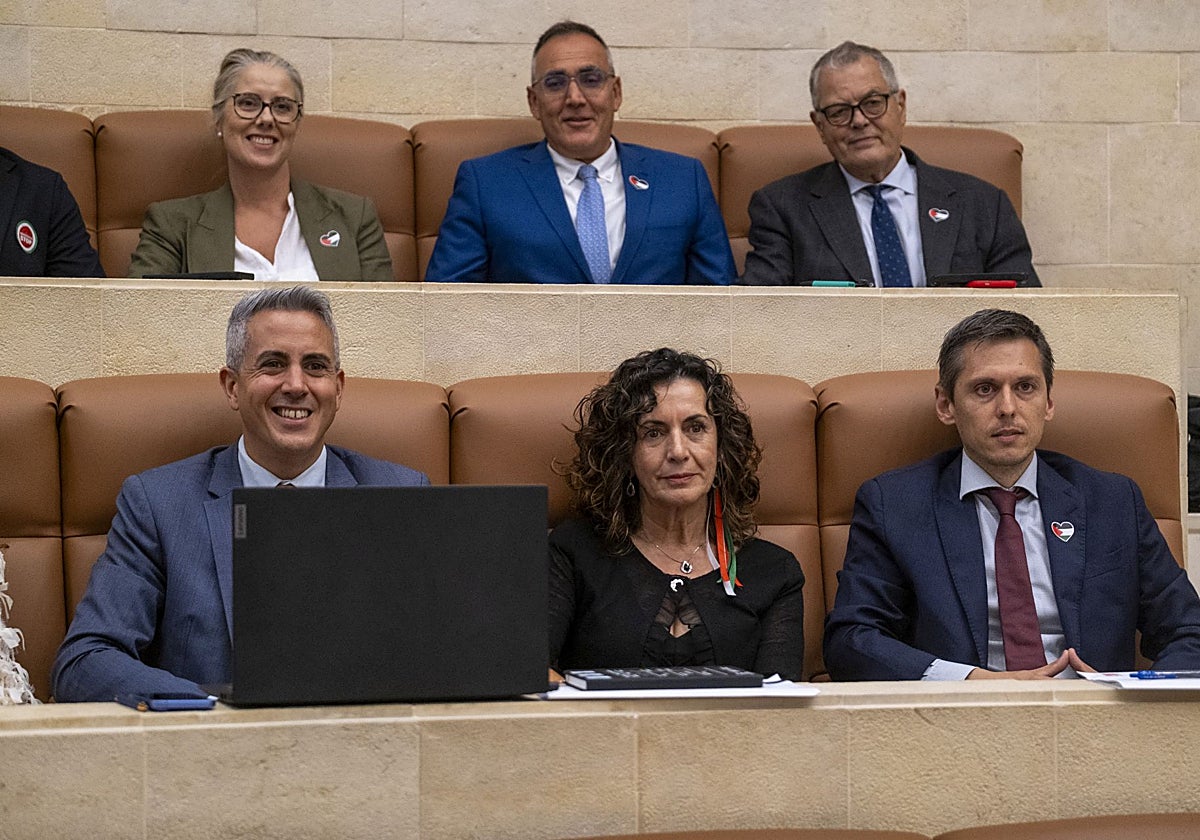 Los diputados socialistas Nórak Cruz, Raúl Pesquera, Joaquín Gómez, Pablo Zuloaga, Ana Belén Álvarez y Mario Iglesias (de arriba a abajo y de izquierda a derecha) posan con motivos propalestinos en el arranque de la sesión plenaria.