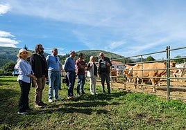La consejera y resto de autoridades visitan la concentración ganadera de Riotuerto.