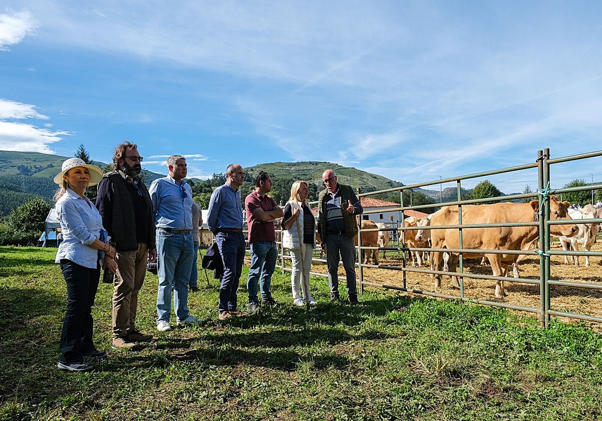 La consejera y resto de autoridades visitan la concentración ganadera de Riotuerto.