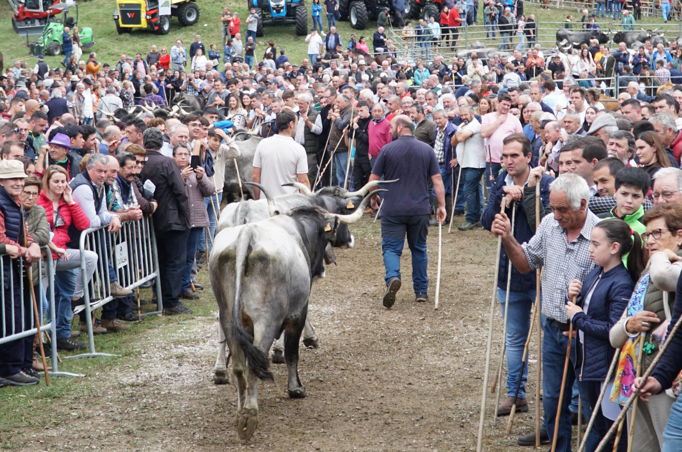 La feria de San Miguel registró una masiva asistencia de público.