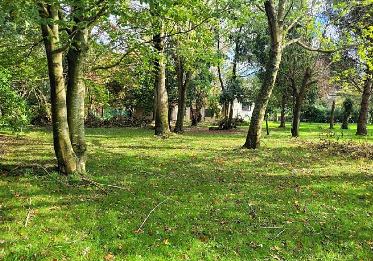Zona verde en la que se creará el área de esparcimiento canino.