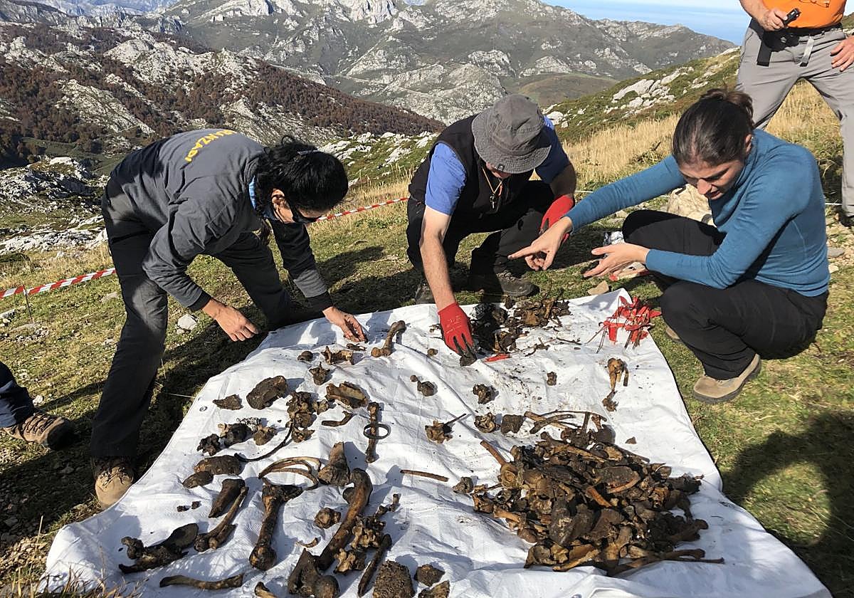 El trabajo de los expertos que participaron en la recuperación y catalogación de los restos de Eloy Campillo.