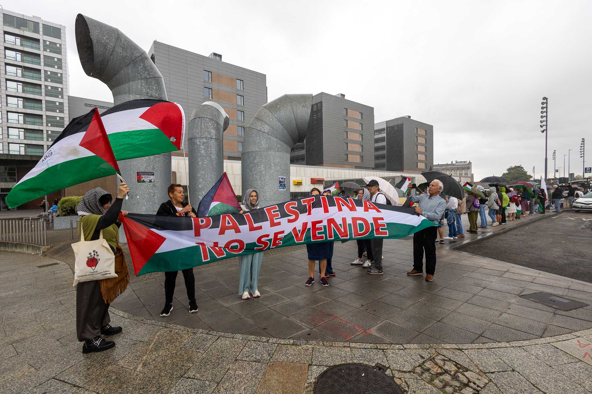 Acción por Palestina convocó esta concentración y denunció que el 94% de los hospitales de Gaza han sido alcanzados por los ataques de Israel. 