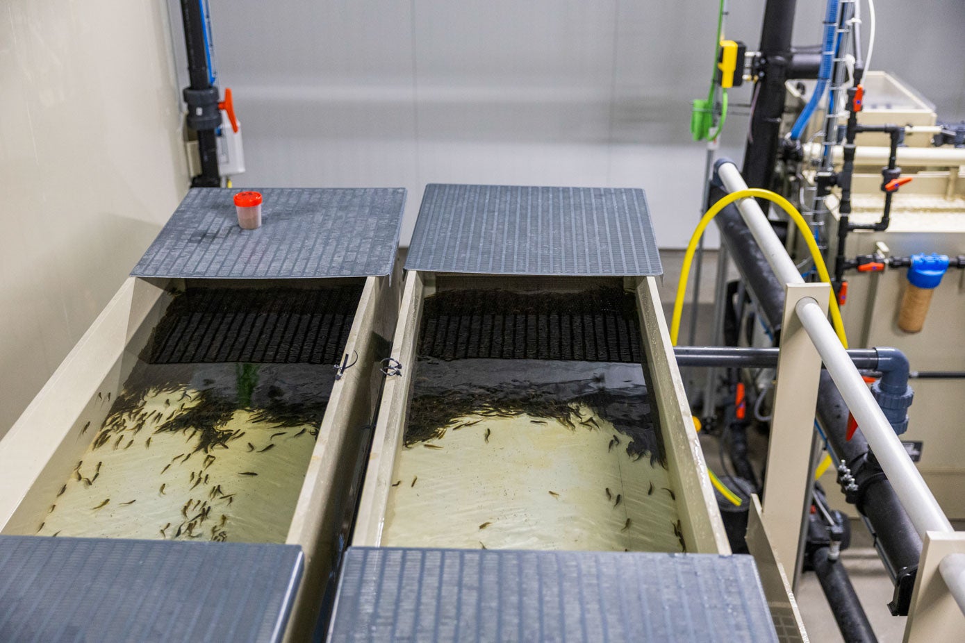 Norcantabric tuvo que romper con su primer tecnólologo y rehacer toda la ingeniería de la factoría.