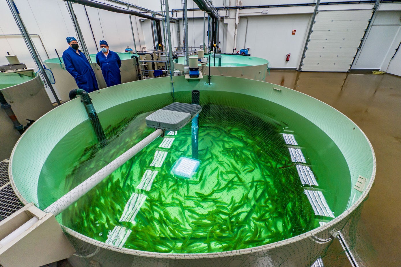 La empresa empezó antes de la pandemia con el proyecto que ahora demuestra su viabilidad.