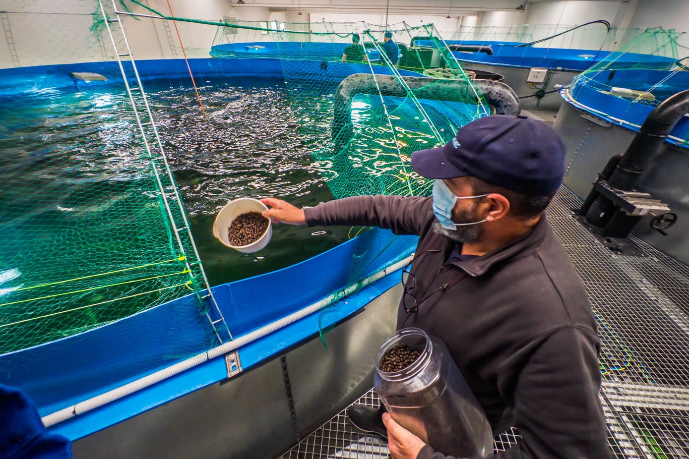 La empresa defiende que elabora un producto gourmet dado su proceso «artesanal».