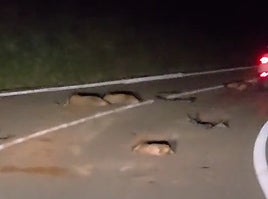 Estas son las cinco noticias del día en Cantabria