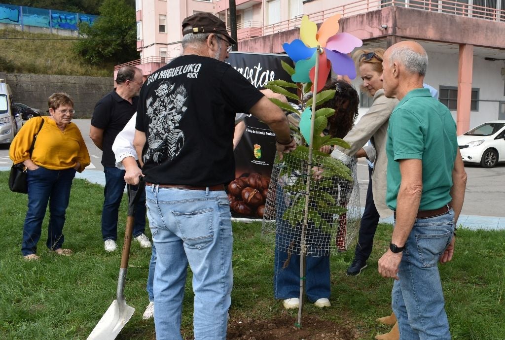 Preparativos para la plantación del castaño en la Colonia Authi de Los Corrales.