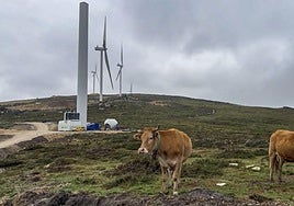 Los molinos que tienen ya instaladas las aspas.