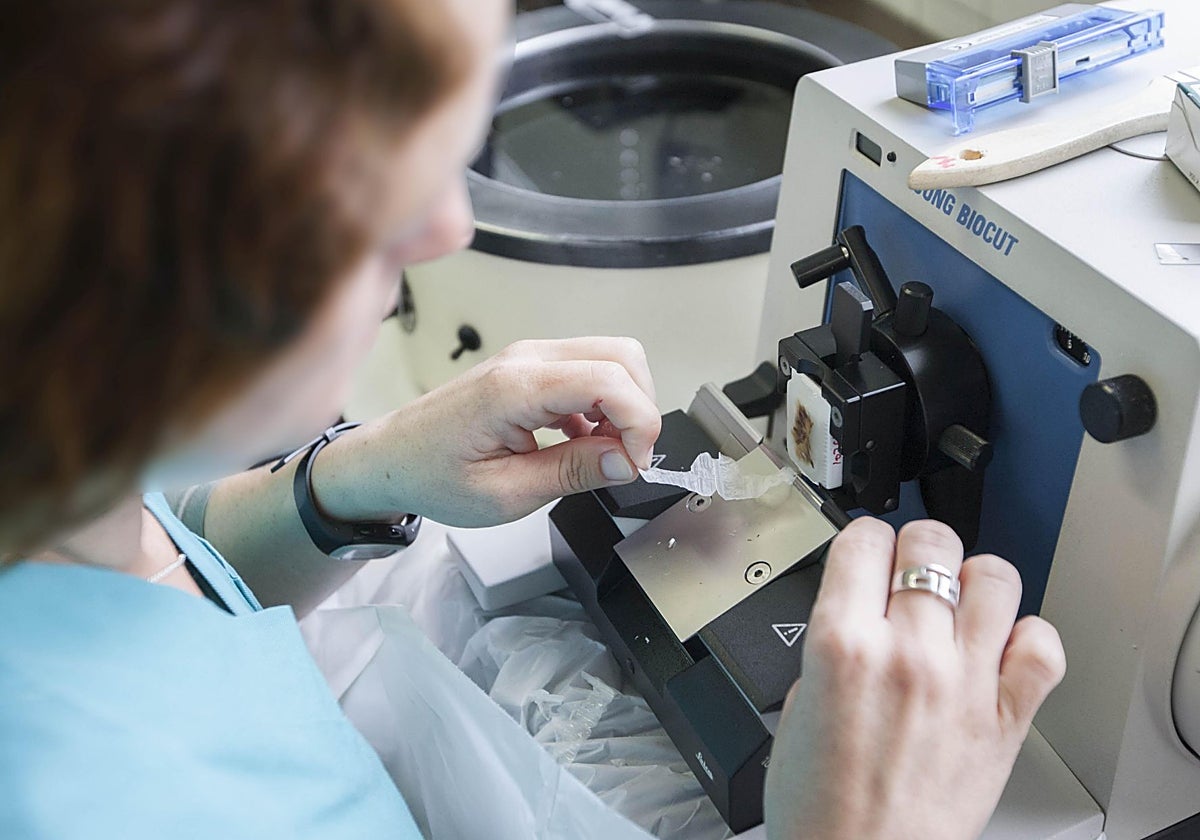 Una técnico de laboratorio analiza una muestra en Valdecilla.