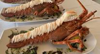 La langosta es protagonista en las jornadas gastronómicas del Astuy
