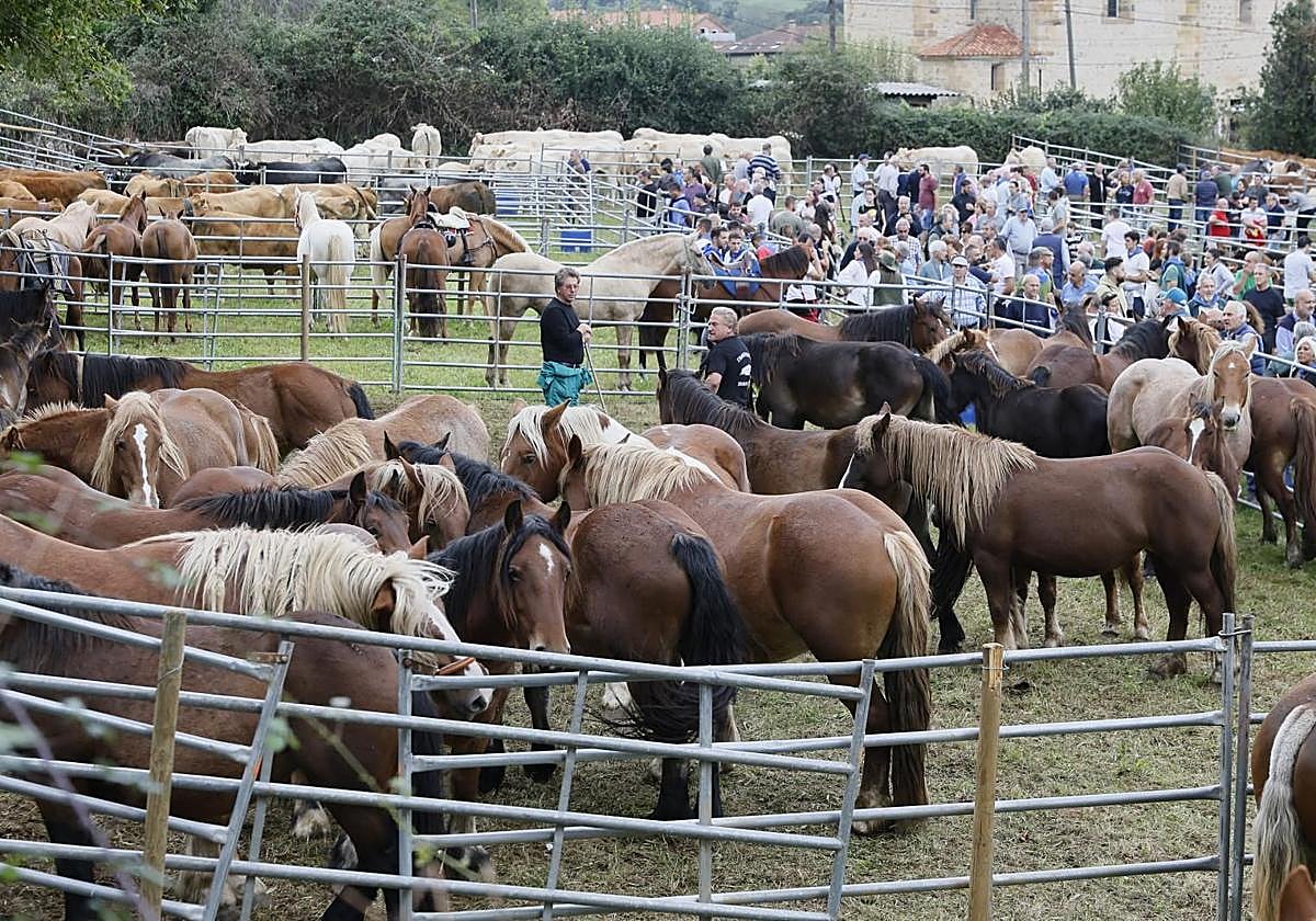 Excelente ambiente por San Lucas en Hoznayo