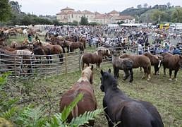 Excelente ambiente por San Lucas en Hoznayo