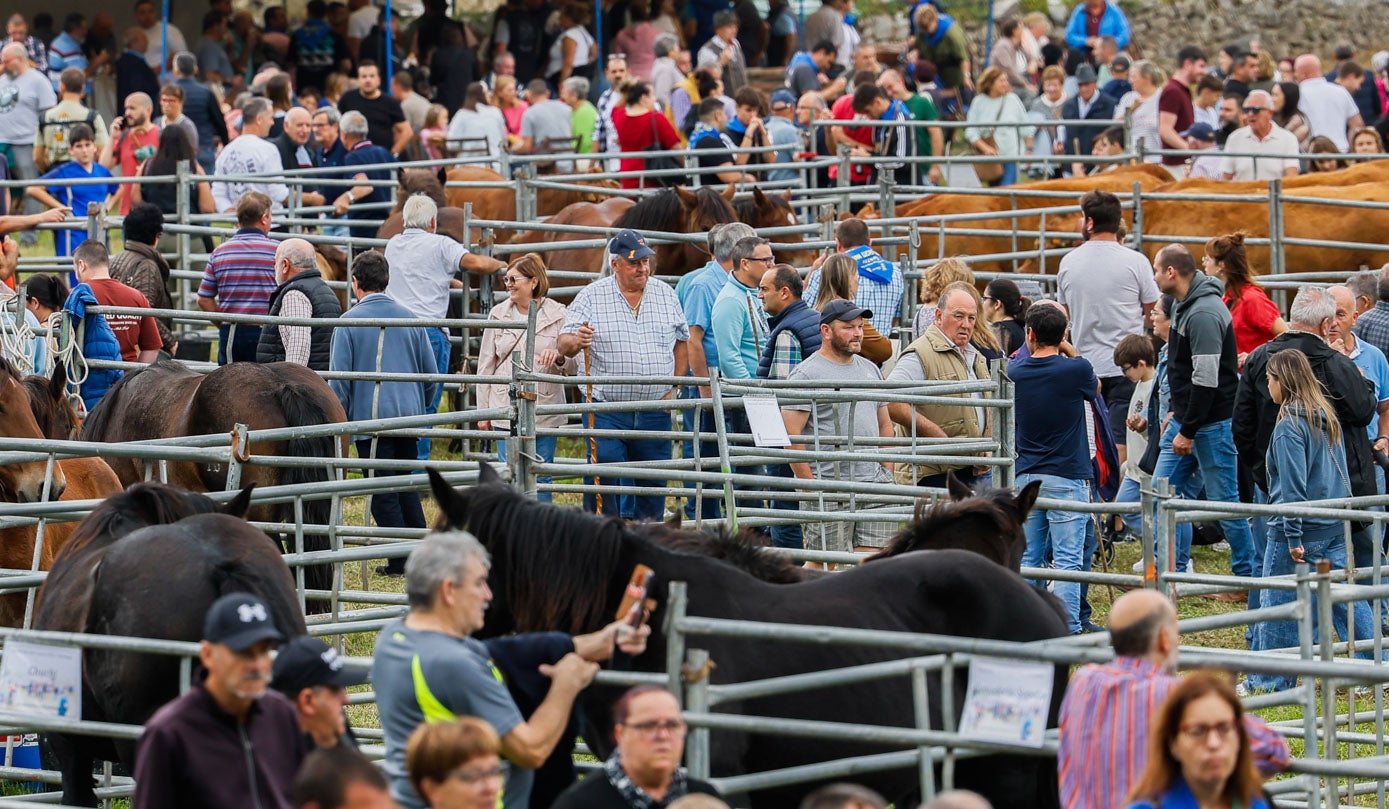 El público abarrota el recinto ferial donde se ha exhibido el ganado.