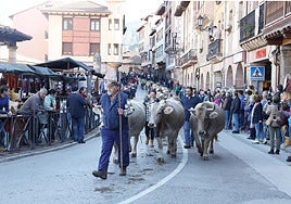 La pasá del ganado por las calles de Potes en una edición anterior de la feria