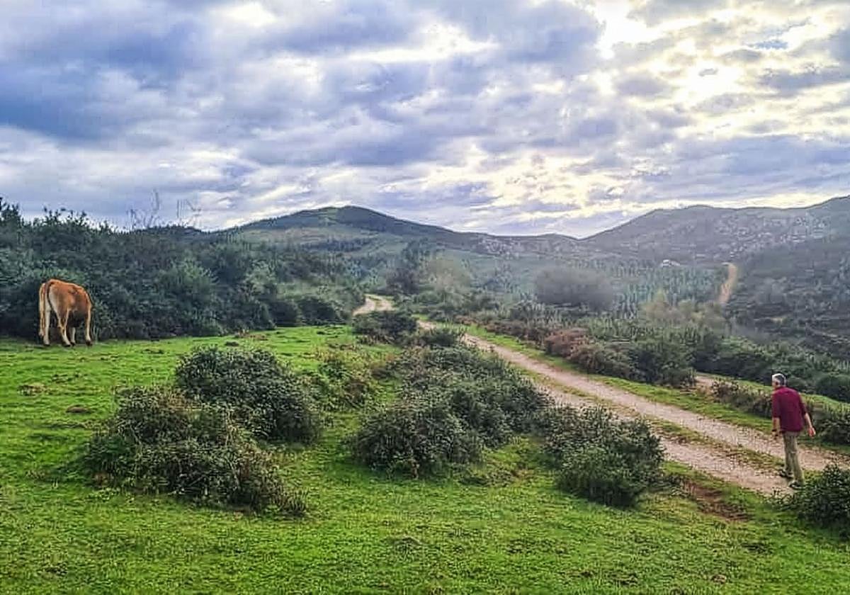 El pedáneo de Viérnoles, Eduardo Trueba, camina por el sendero que lleva a la ruta del Cuaternario desde la Fuente de las Palomas.