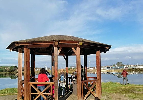 Puntos para el avistamiento de aves en las marismas.