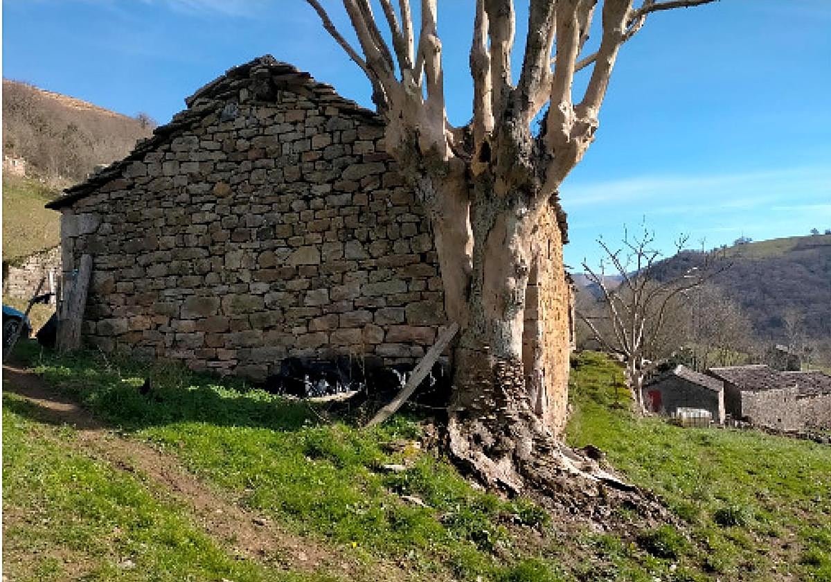 Salvo por un par de viviendas, el barrio en cuestión se encuentra actualmente deshabitado.