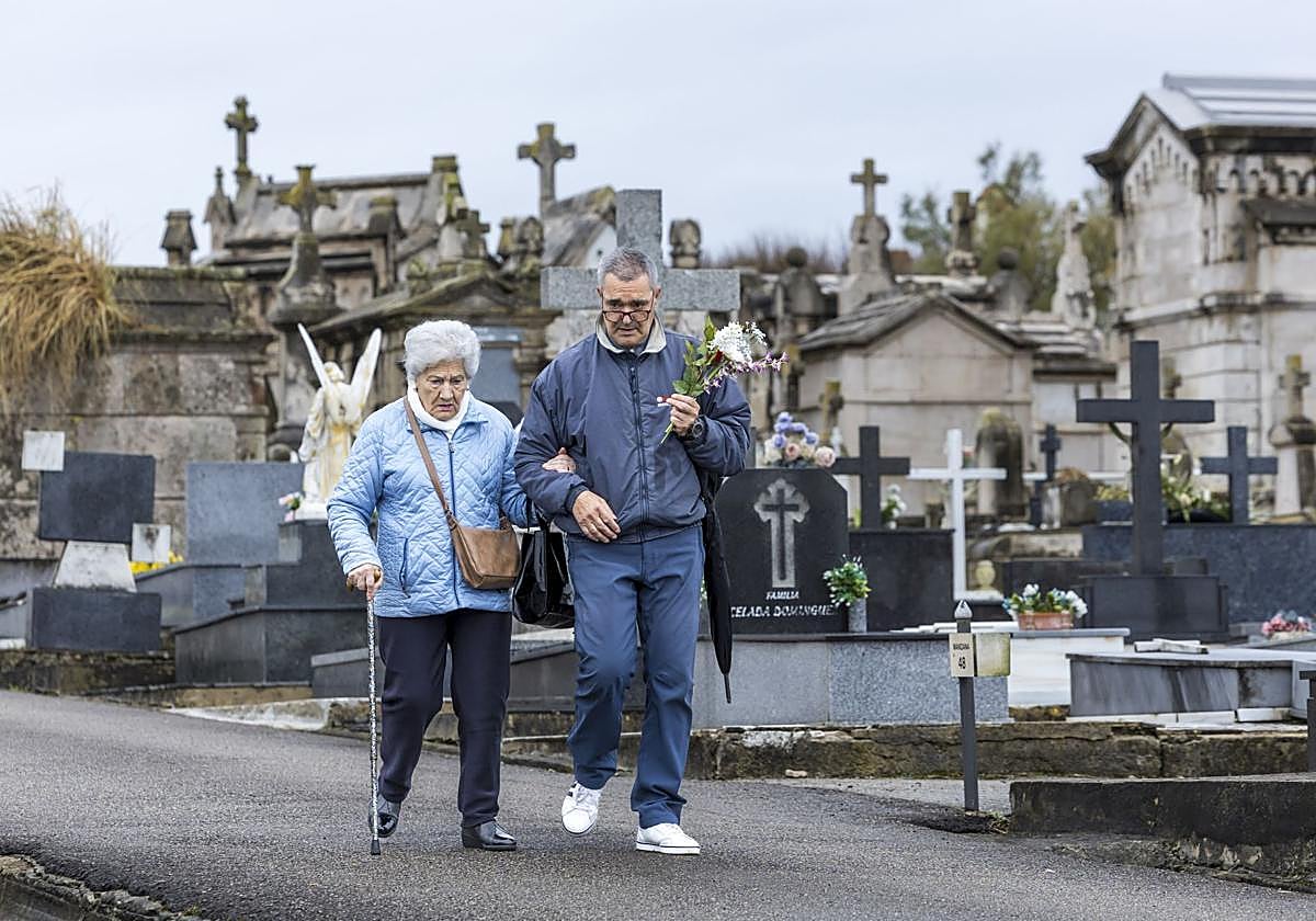 Una mañana por Ciriego