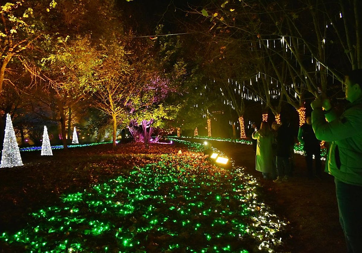 El Parque Mágico del Ansar será uno de los platos fuertes de la Navidad cartiega.
