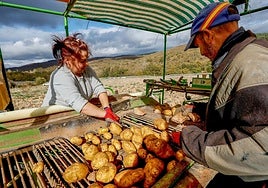 Marimar y Fonso se encargan de separar las piedras de las patatas en la cosechadora.