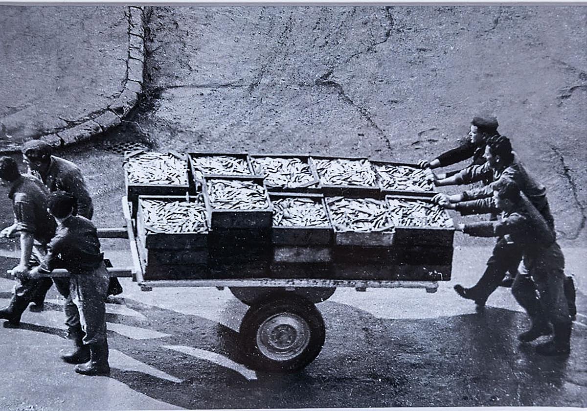 Un grupo de operarios empuja un carro con bocartes para la conservera