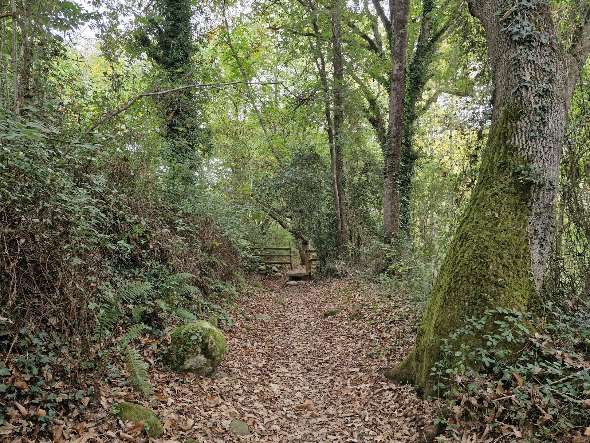 El camino, bien marcado a lo largo de todo el recorrido, no tiene pérdida.