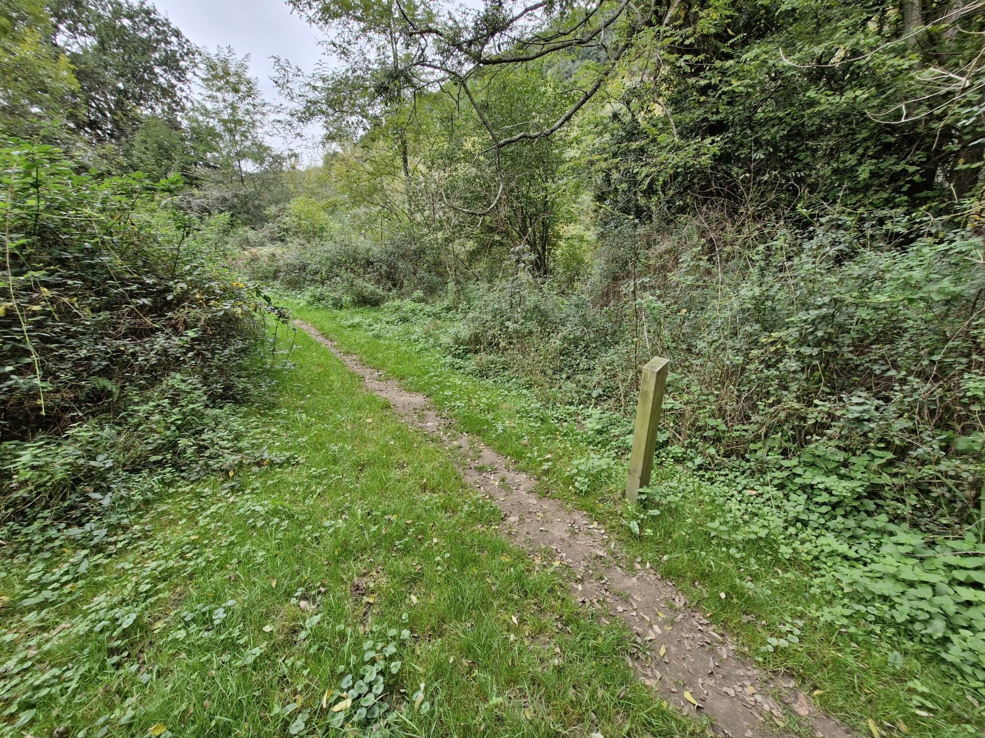 Las indicaciones son constantes en el recorrido.