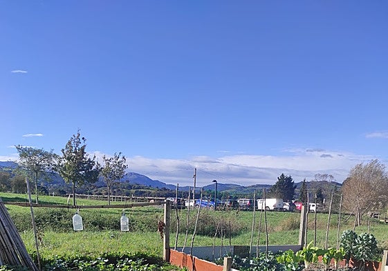 Huertos urbanos de Colindres.