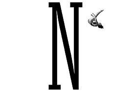 El sentimiento de un oficio. Una nota sobre el 'Notebook' de Henry James