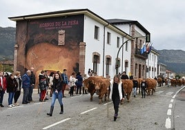 En los últimos años se ha tenido que suspender en tres ocasiones la feria de San Felices.