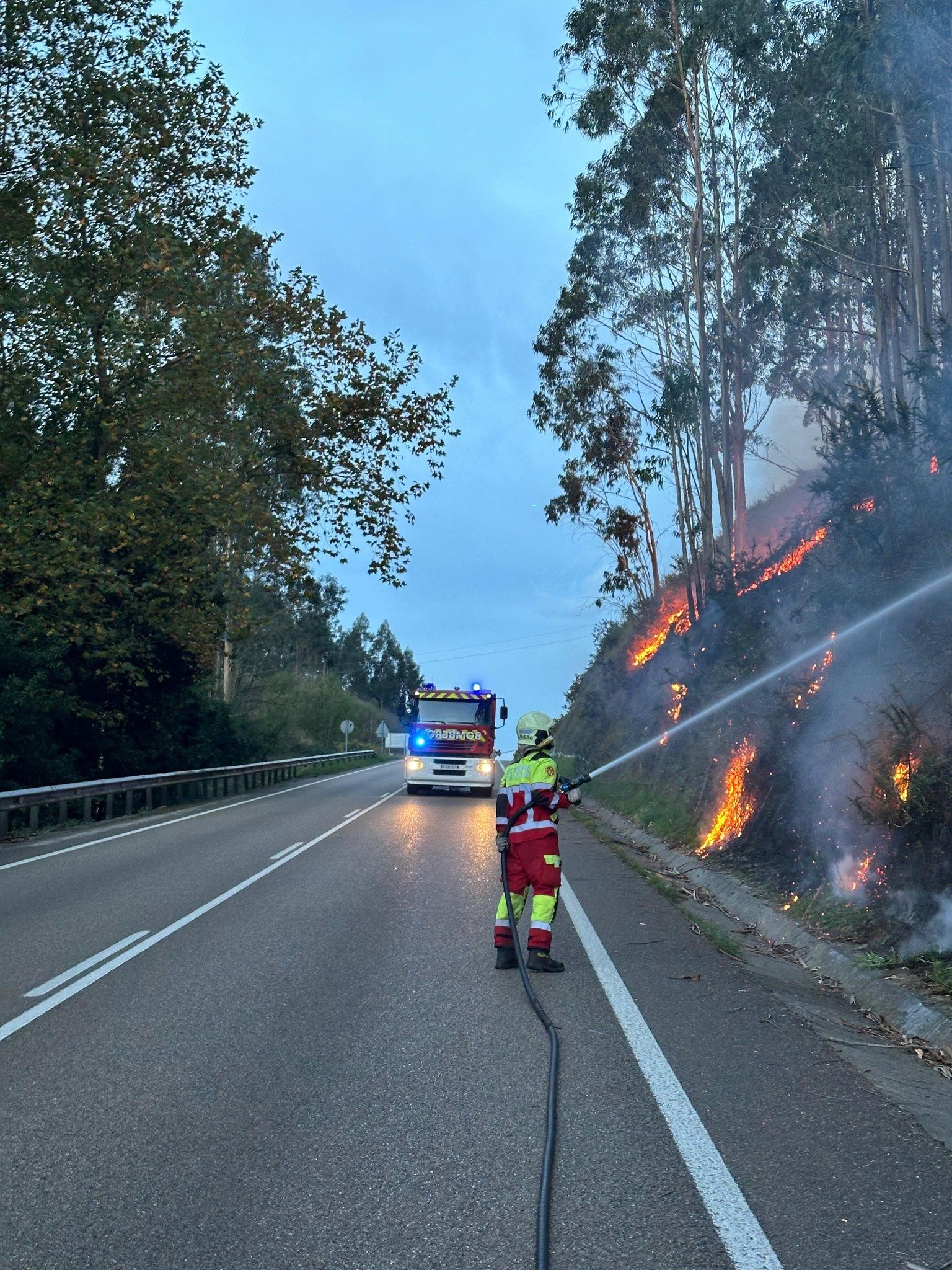 Extinción de incendio de vegetación en las cunetas en el km 8 de la CA-170 en el Alto de Hijas, en Puente Viesgo