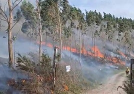Las llamas se han reavivado en Las Caldas (Los Corrales de Buelna) esta mañana por las fuertes rachas de viento sur, como se puede ver en el vídeo.