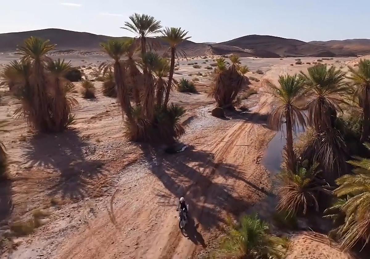 Espectacular imagen aérea de Ricardo Lastra atravesando un oasis, uno de los contrastes de paisaje habituales en las etapas del rally marroquí.