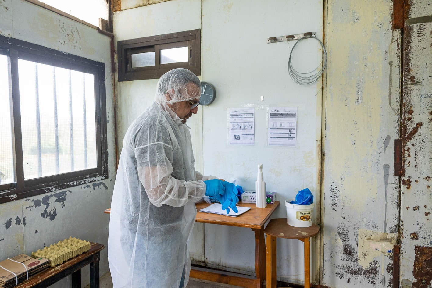 Todos los elementos son desechables y de un solo uso.