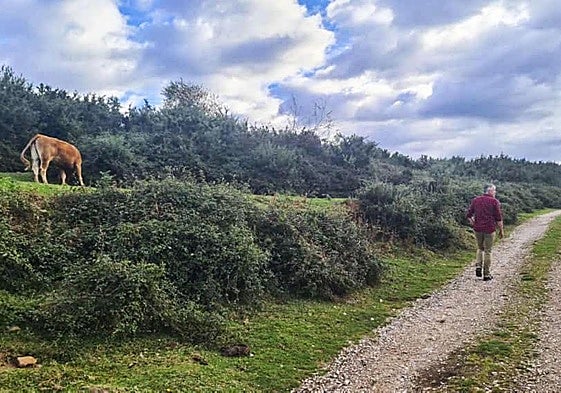 El pedáneo Eduardo Trueba camina por una de las sendas a la ruta.