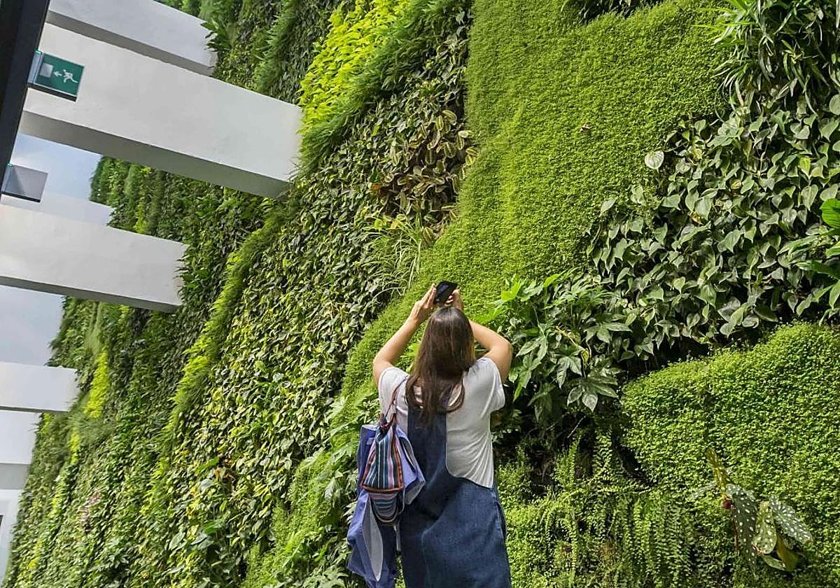 Jardín vertical de Tabacalera.