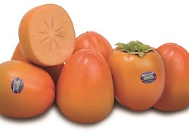 Su consistencia firme, similar a la de un melocotón, hacen del kaki (persimón en su variante valenciana) una fruta fácil de transportar y consumir.