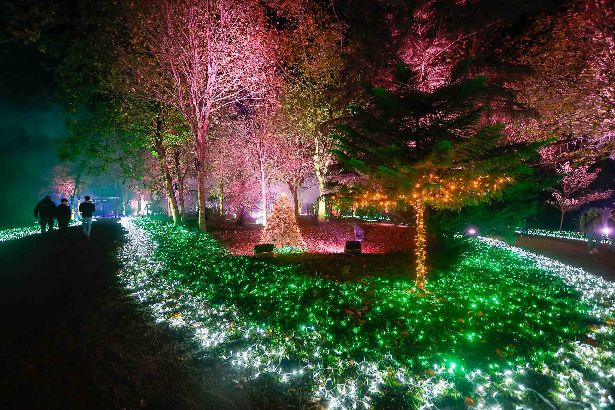 A lo largo de todo el mes, diferentes ilusionistas pasarán por la navidad de Cartes, cuya historia gira en torno a la magia.